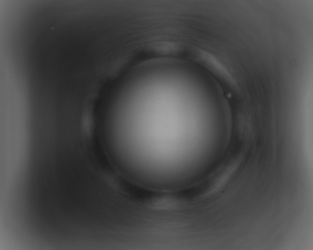 X0000101440259200807071408