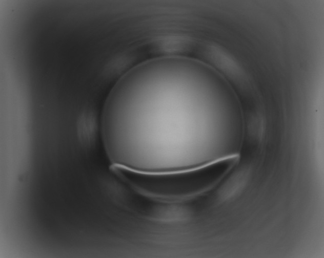 X0000101440260200807071408