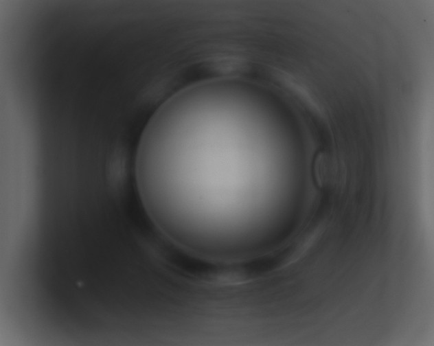 X0000101440263200807071408