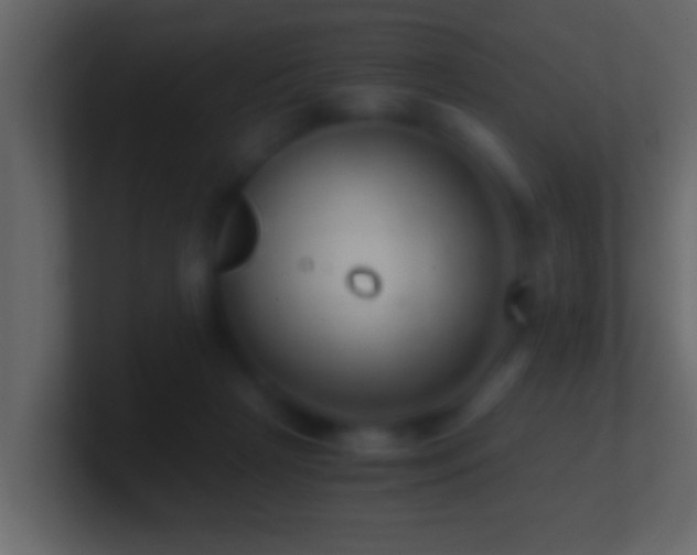 X0000101440265200807071408