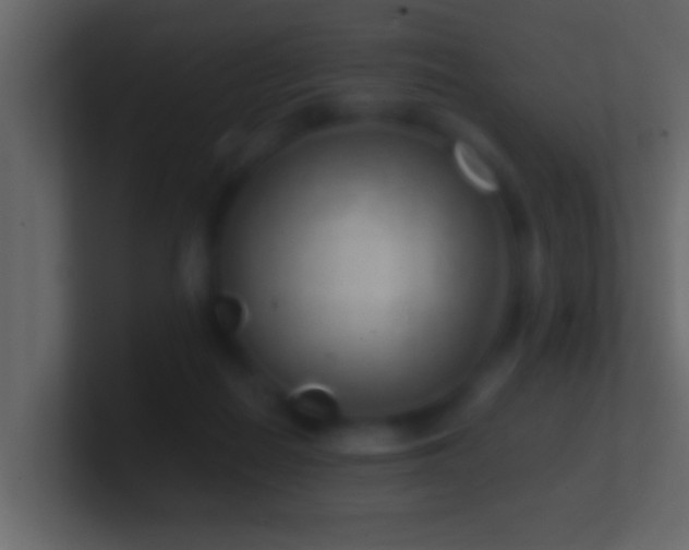 X0000101440266200807071408