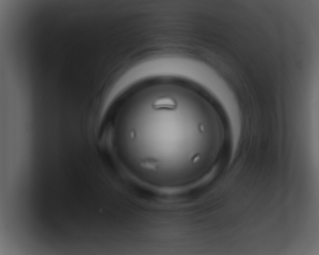 X0000101440268200807071408