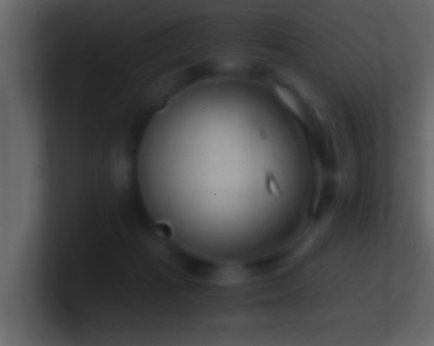 X0000101440269200807071408