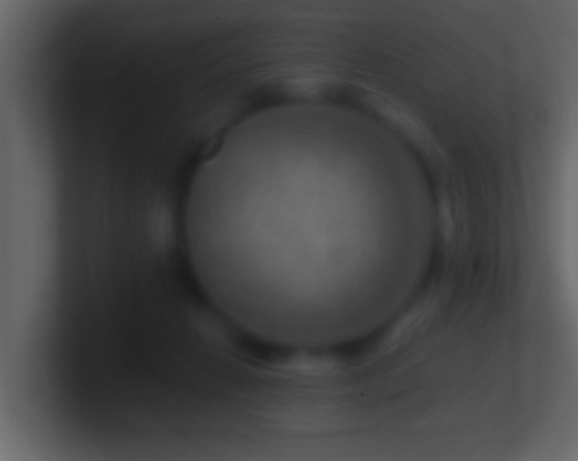 X0000101440270200807071408