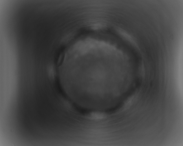 X0000101440272200807071408