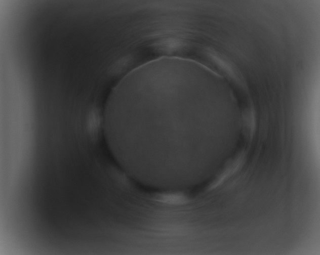 X0000101440284200807071409