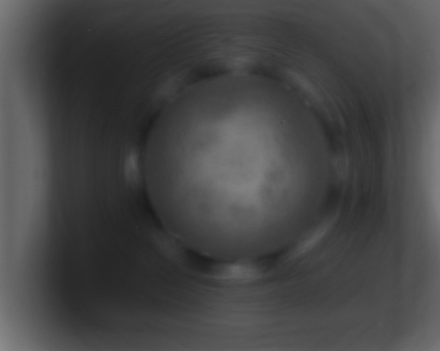 X0000101440286200807071409