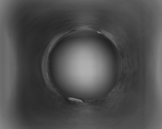 X0000101440289200807071408