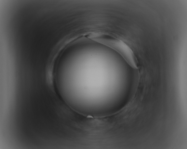 X0000101440290200807071408