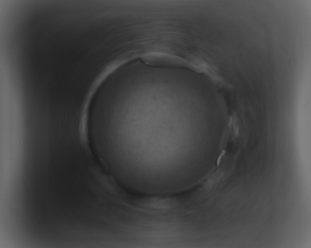 X0000101440292200807071408