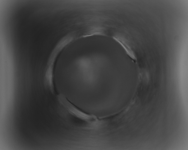 X0000101440293200807071408