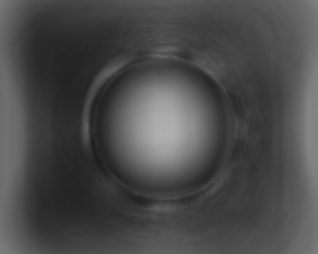 X0000101440294200807071408