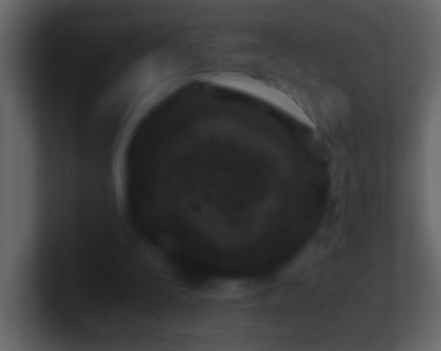 X0000101440295200807071408