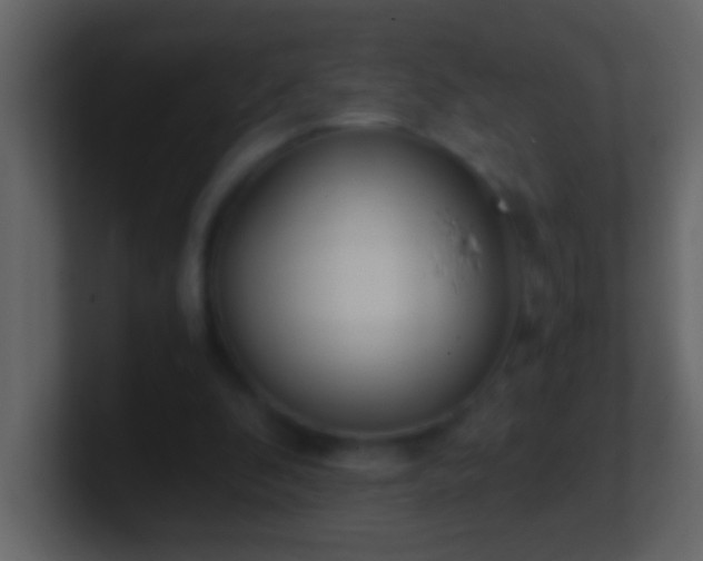 X0000101440296200807071408