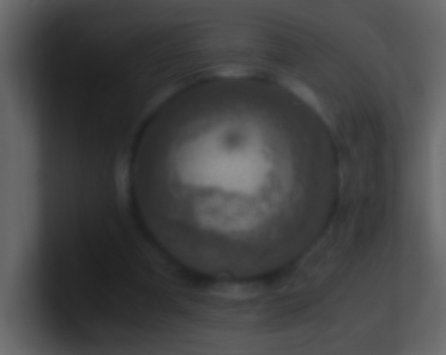 X0000101440297200807071408