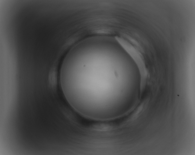 X0000101440299200807071408