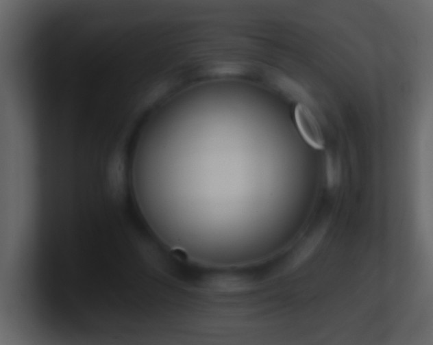 X0000101440300200807071408