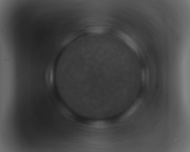 X0000101440301200807071408