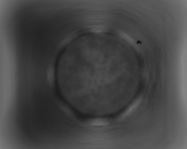 X0000101440303200807071408