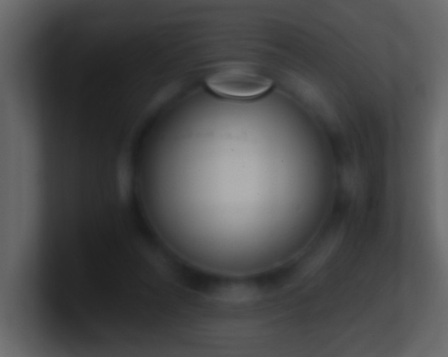 X0000101440304200807071408