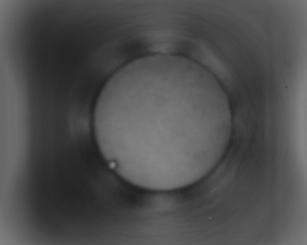 X0000101440305200807071408