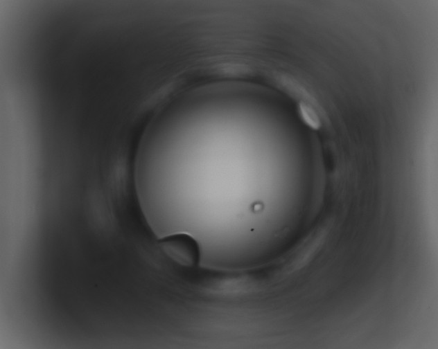 X0000101440306200807071408