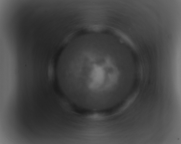 X0000101440312200807071408