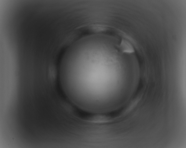 X0000101440315200807071408