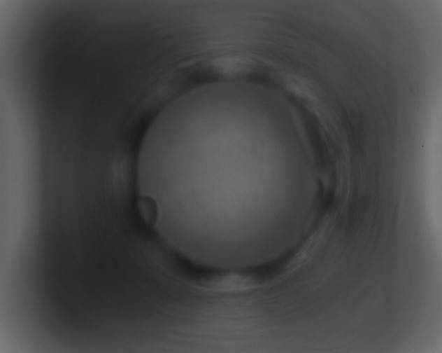 X0000101440319200807071408