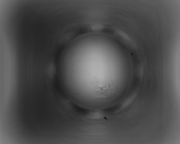 X0000101440321200807071408