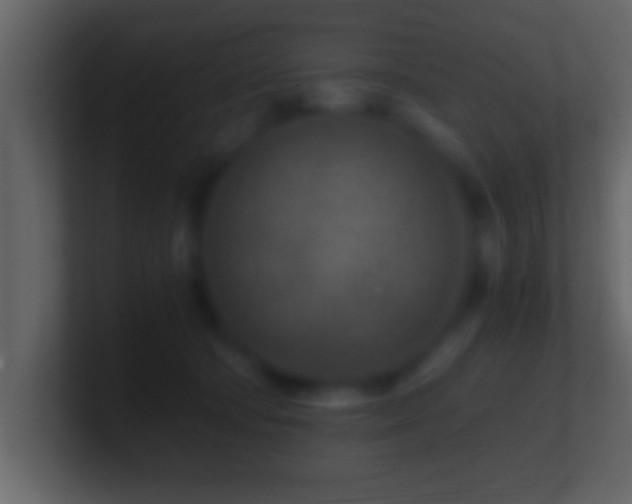 X0000101440322200807071408