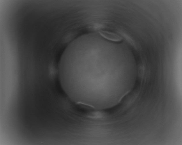 X0000101440324200807071408