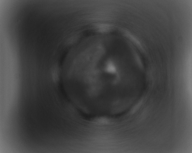 X0000101440325200807071408