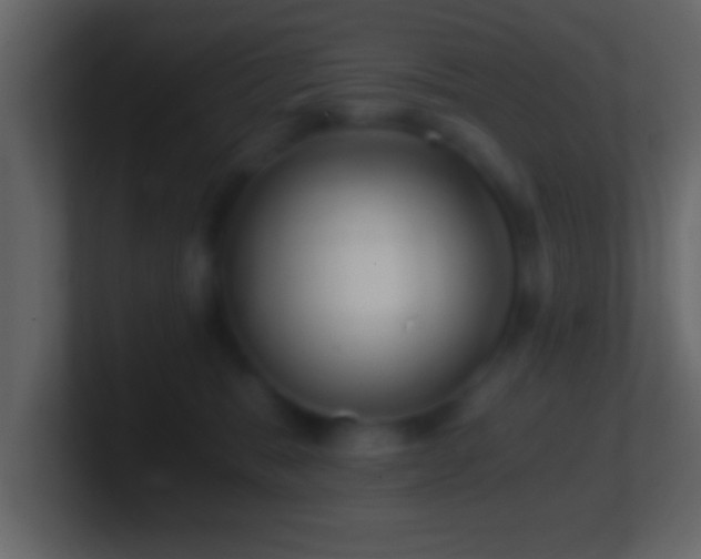 X0000101440327200807071407