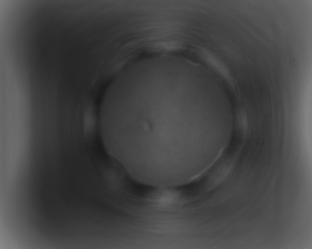 X0000101440328200807071407