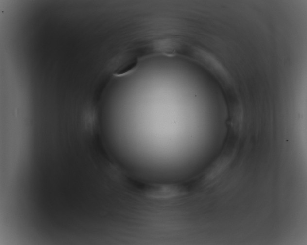 X0000101440329200807071407