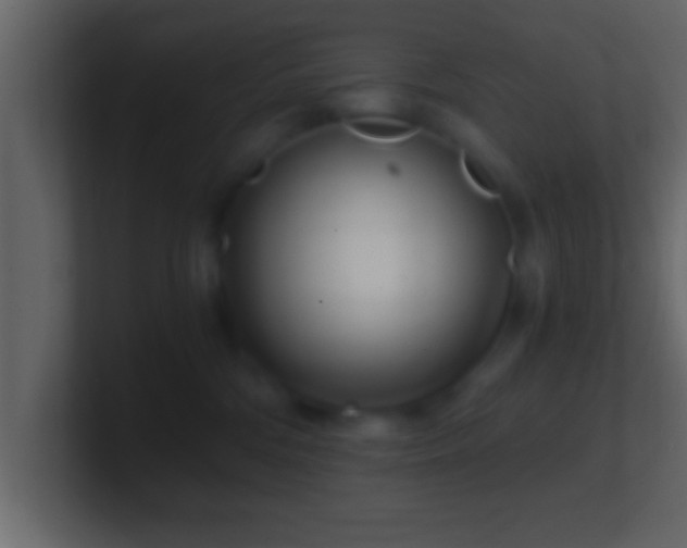 X0000101440330200807071407