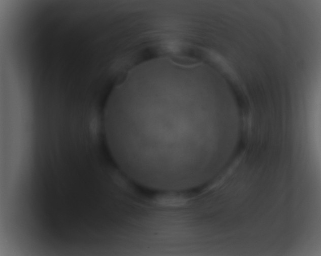 X0000101440331200807071407