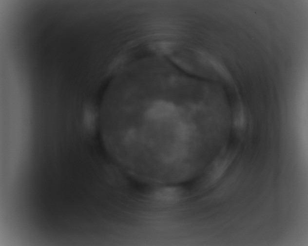 X0000101440332200807071407