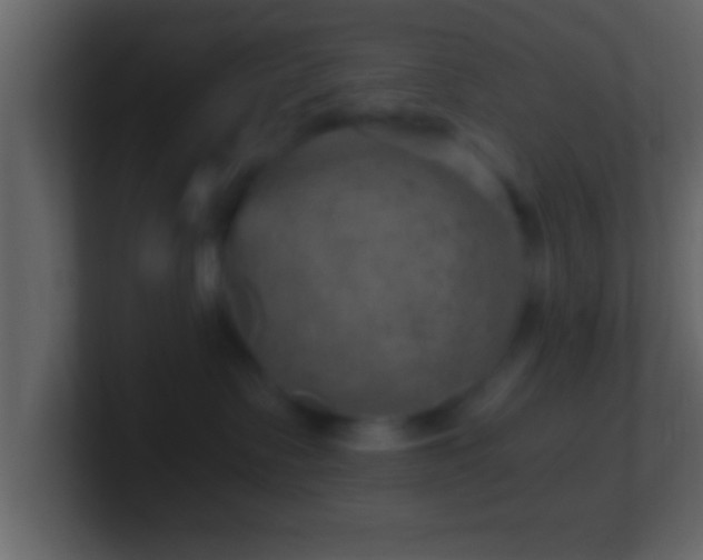 X0000101440335200807071407