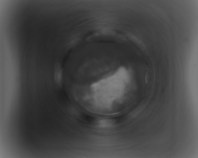 X0000101440336200807071407