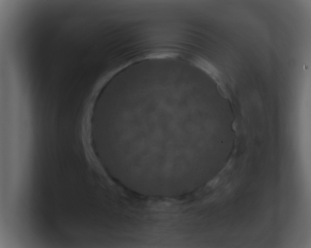 X0000101440337200807071407