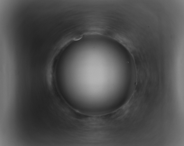 X0000101440338200807071407