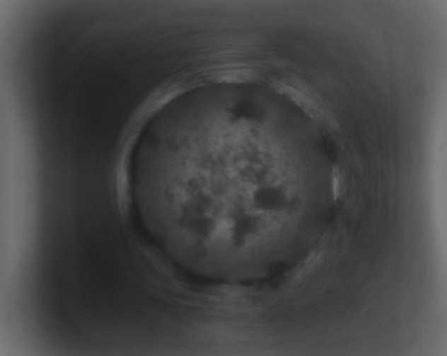 X0000101440339200807071407