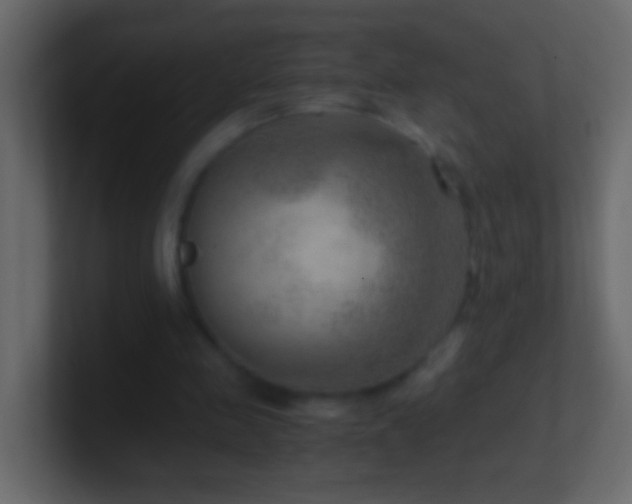 X0000101440341200807071407