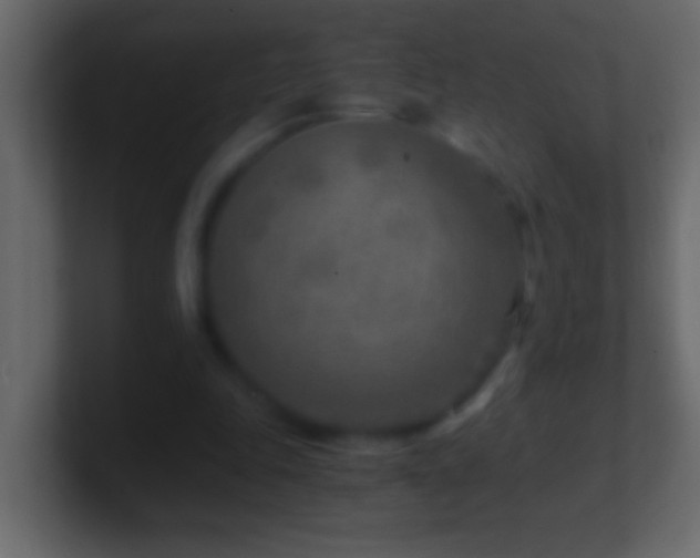 X0000101440343200807071407