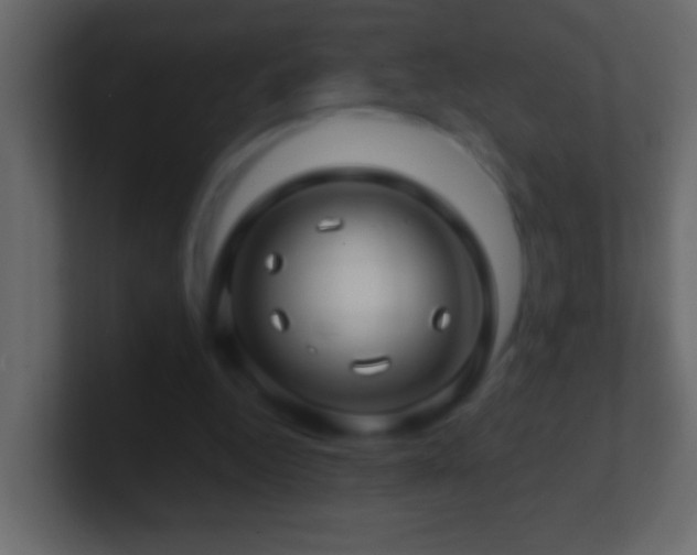 X0000101440344200807071407