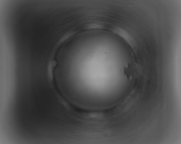 X0000101440345200807071407