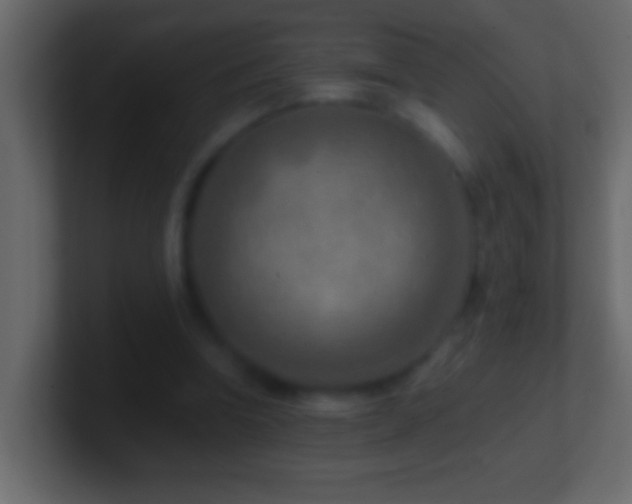 X0000101440346200807071407