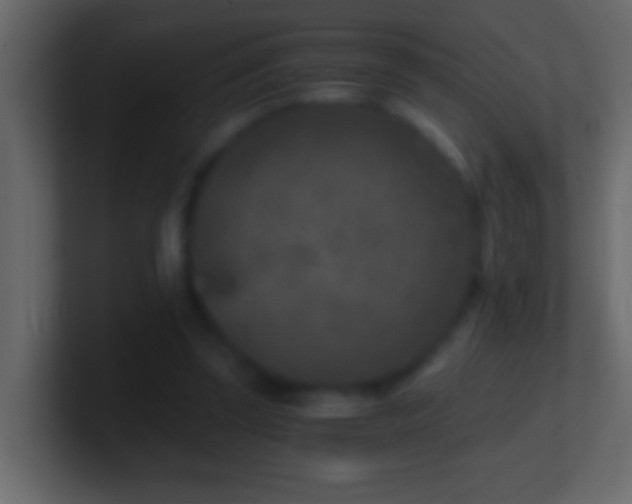 X0000101440347200807071407